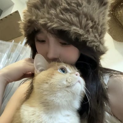 真情不眠